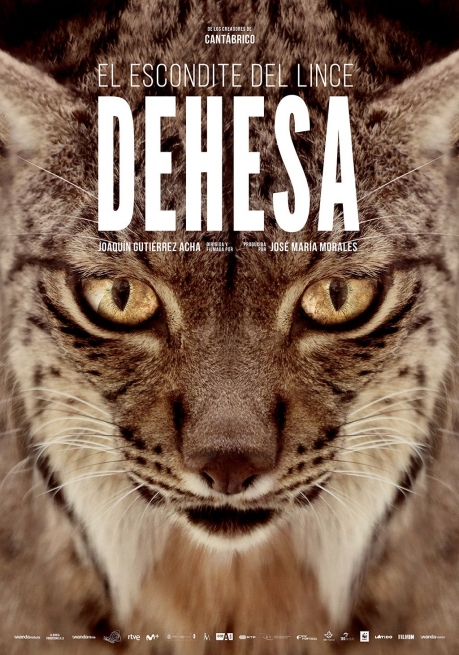 Cartel DEHESA, EL BOSQUE DEL LINCE IBÉRICO