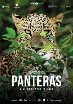 Cartel PANTERAS
