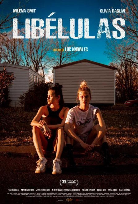 Cartel LIBÉLULAS
