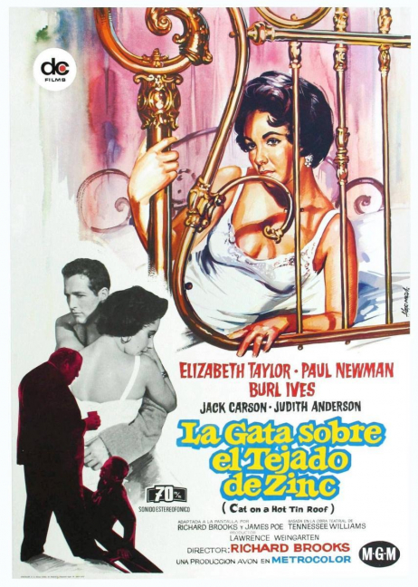 Cartel La gata sobre el tejado de zinc