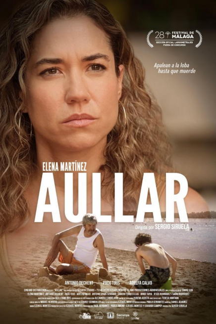 Cartel Aullar