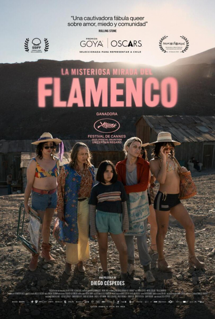 Cartel La misteriosa mirada del flamenco